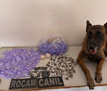 Drogas prontas para comercialização são apreendidas em Arapiraca