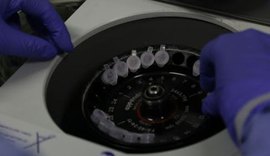 Coronavírus: Número de suspeitos infectados cai para três