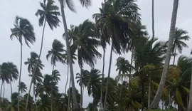 Semarh emite novo aviso para rajadas de vento acima de 50 km/h em Alagoas