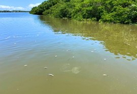 MPF investiga mortandade de peixes no rio Santo Antônio; veja o vídeo