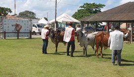 Abertura oficial da Expoalagoas Genética acontece nesta quarta (15)