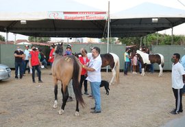 Shopping Raça Mangalarga Marchador é atração de destaque na Expoagro