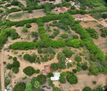 Agricultores de Palmeira dos Índios colaboram com pesquisa que busca fortalecer conservação de umbu-cajazeiras