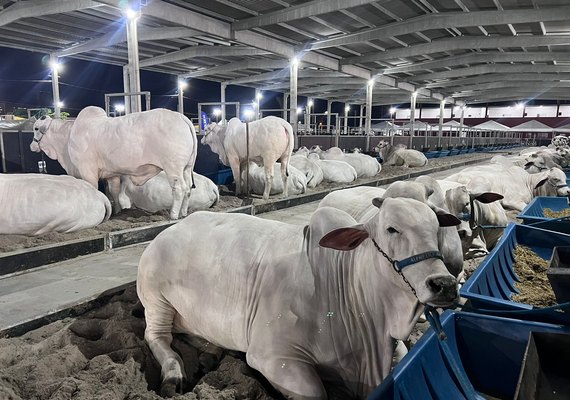 73ª Expoagro Alagoas começa neste sábado (21) e promete ser maior em negócios