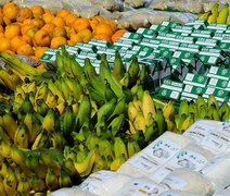 Lei amplia garantias para financiamentos do Pronaf