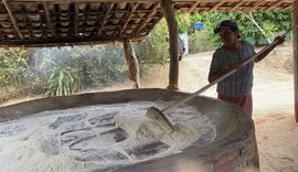 Tradição da farinha de mandioca em São José da Laje fortalece cultura e economia local