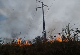 Equatorial inicia campanha de combate a queimadas próximas à rede elétrica