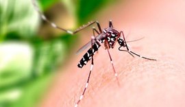 Saúde alerta população sobre medidas preventivas para combater o Aedes aegypti