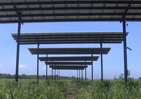 Pesquisa inédita testa viabilidade da geração de energia solar em usina alagoana