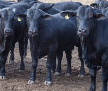 CMN reduz juros para cooperativas rurais no Pronaf