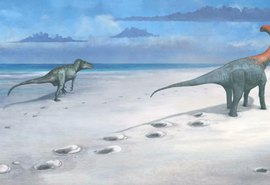 Nova espécie de dinossauro gigante é descoberta na Tailândia