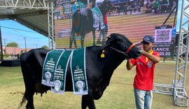 Ranqueada do Girolando terá maior participação de animais na 73ª Expoagro Alagoas