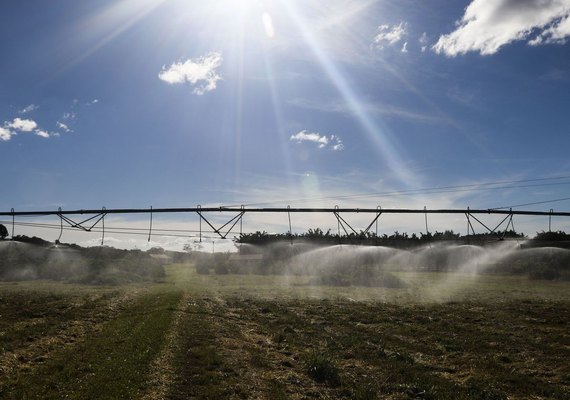 Termina hoje prazo para produtores aderirem ao Refis Rural