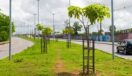 Anúncio de plantio de árvores pela Braskem em Maceió é tentativa de limpar imagem, diz ativista