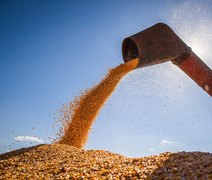 Campo Futuro levanta custos de produção de quatro cadeias produtivas