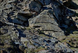 Segredos do Ártico: arqueólogos descobrem 31 novos petróglifos