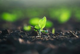 Nova lei impulsiona produção de bioinsumos no Brasil