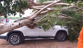 Pancadas de chuva deixam rastro de destruição e alagamentos no interior de Alagoas