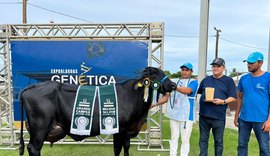 Expoalagoas Genética fatura R$ 6,5 milhões e ultrapassa expectativa