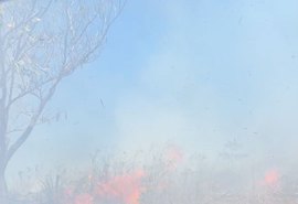 VÍDEO: fumaça de incêndio atrapalha visão de condutores na Avenida Márcio Canuto, em Maceió