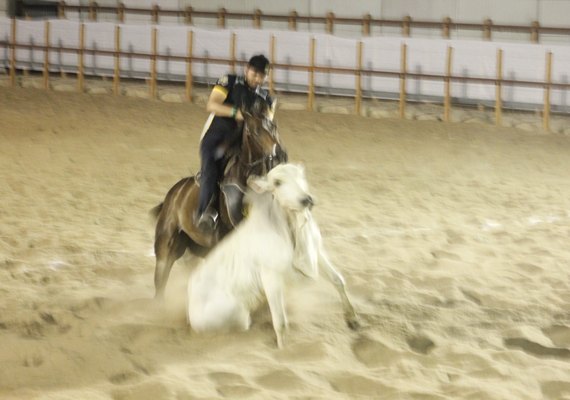 Vaquejada do Milhão movimentou cerca  R$ 30 milhões