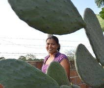 Mulheres lideram produção em 19% das propriedades rurais brasileiras