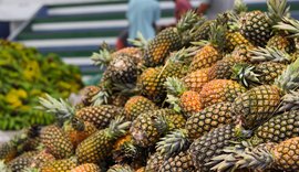 Educação inicia entrega de mais de 50 mil kits da agricultura familiar nas escolas