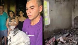 Coelha acorda família durante incêndio e salva bebê de 9 meses em Manaus