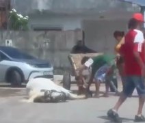 Imagens de maus-tratos a cavalo em Maceió viralizam e geram investigação