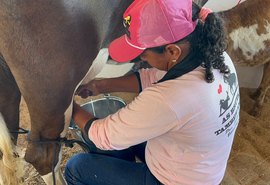 Circuito Leiteiro: Expobacia tem pela primeira vez participação de mulher em torneio leiteiro