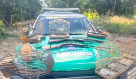 Polícia Militar apreende aves silvestres, armas e armadilhas de caça em Porto de Pedras