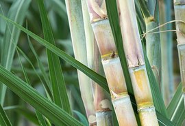 Primeiro ATR da safra 21/22 tem alta de 9%