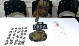 Polícia Militar apreende armas de fogo e drogas em cidades do interior de Alagoas