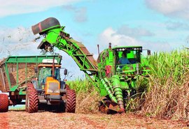 Colheita mecanizada: Alagoas lidera ranking no Nordeste