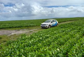 Calendário de semeadura da soja é aberto em Alagoas