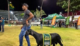 Leilão Santa Inês movimenta mais de R$ 440 mil com os melhores da 72ª Expoagro Alagoas