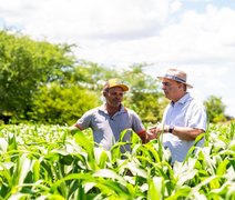 Secretaria de Agricultura informa prorrogação de pagamento das adesões ao Garantia-Safra 25/26