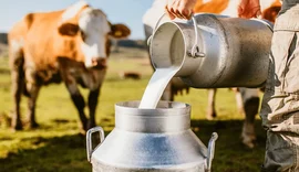Acordo Mercosul–UE pressiona cadeia do leite e reacende debate sobre competitividade no Brasil