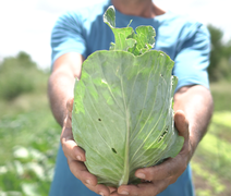 Agricultores familiares em Arapiraca zeram uso de herbicidas com apoio da Agreste Saneamento