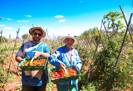No Dia Internacional da Agricultura Familiar, trabalhadores compartilham emoção de produzir alimentos