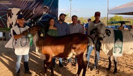 Expo Bacia Leiteira faz julgamento de alto nível técnico