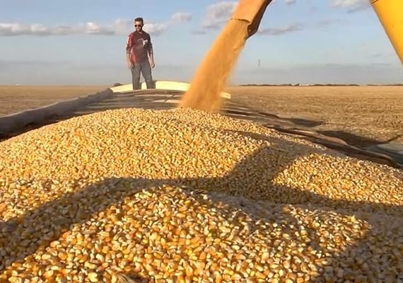 Valor Bruto da Produção Agropecuária em 2023 é estimado em R$ 1,179 trilhão