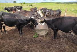 Palestra sobre os desafios da pecuária vai capacitar produtores da CPLA