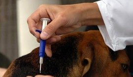 SMS realiza chipagem de animais do Pinheiro, Mutange e Bebedouro