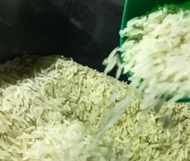 Governo Federal anula leilão de arroz beneficiado importado