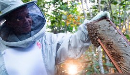 Setor de apicultura em Alagoas cresce com investimento do BNB