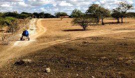 Novo decreto reconhece situação de emergência por causa da seca em 38 municípios de Alagoas