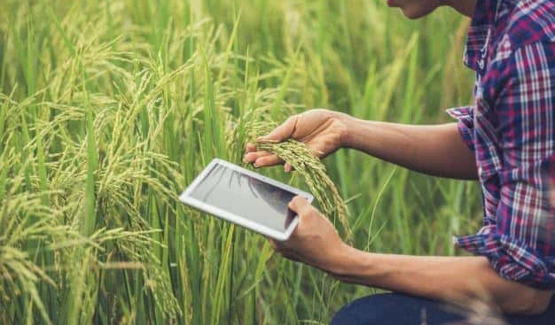 O uso da tecnologia na agricultura para redução de gastos