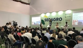 Influenza aviária terá abordagem especial durante Seminário sobre defesa agropecuária