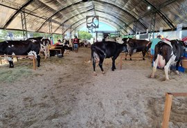 Secretaria de Agricultura prepara programação para a 40ª Expo Bacia Leiteira